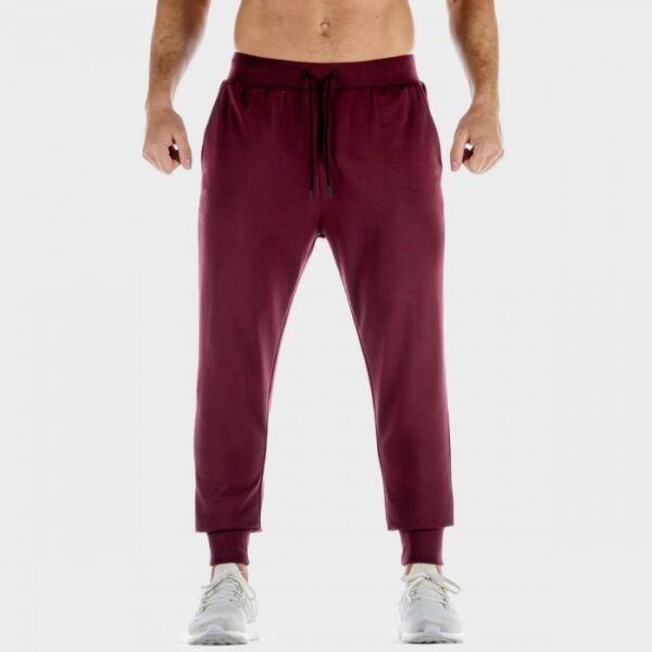 SQUATWOLF Tepláky Lab 360 Joggers Tawny Port  S
